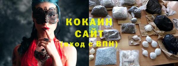 ГАЛЛЮЦИНОГЕННЫЕ ГРИБЫ Алзамай