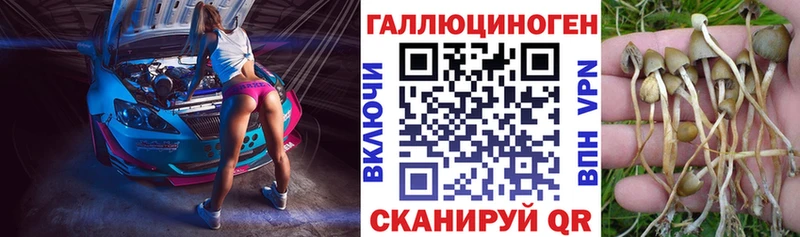Галлюциногенные грибы Psilocybine cubensis  Черепаново 